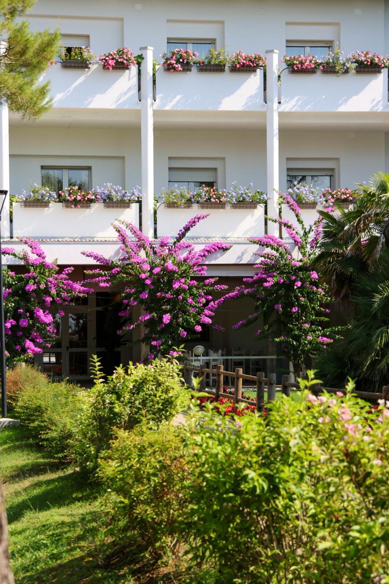 Il Tridente Hotel Hotel